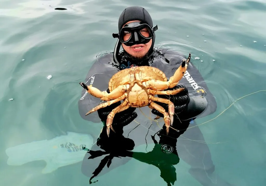 Seiltur SeilNorge Fridykking Havet159154122 2975371389365669 836830480878119388 n