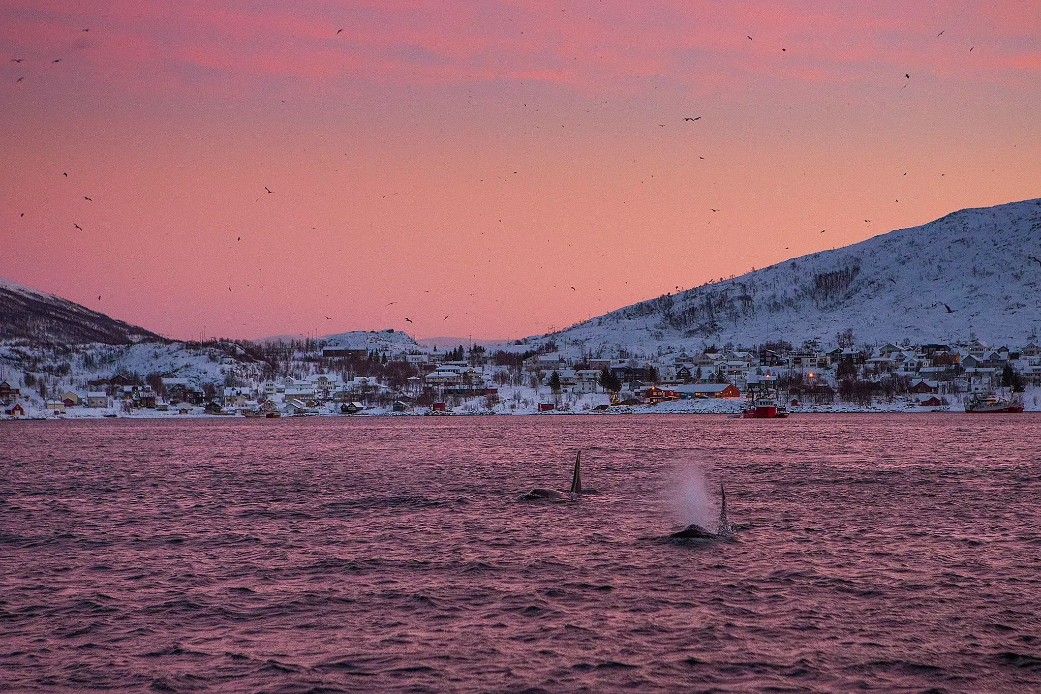 Seiltur SeilNorge Vinterseiling Mats Grimseth MG Fotoseilas 0015