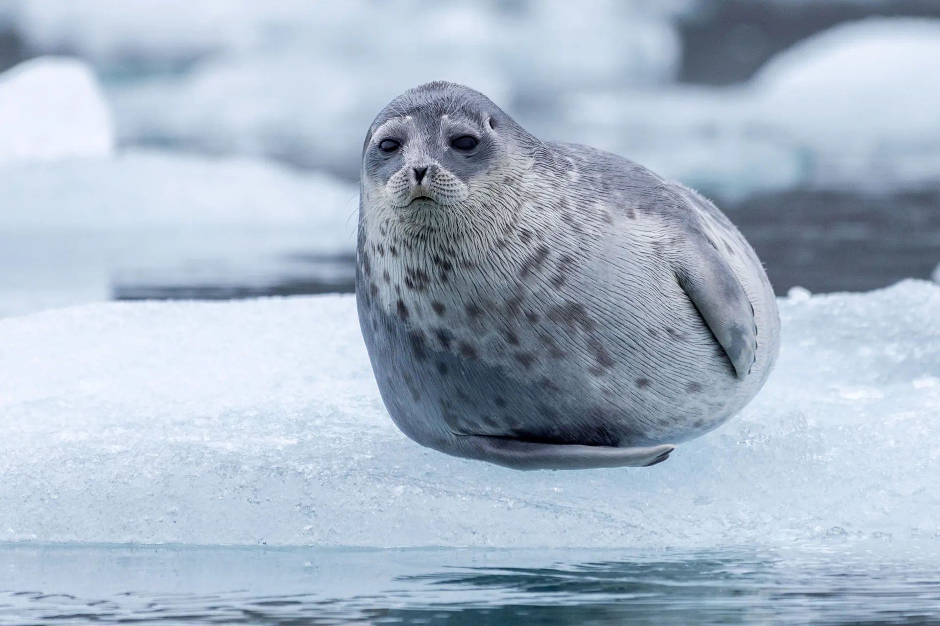 KerstinLangenberger 220831 37