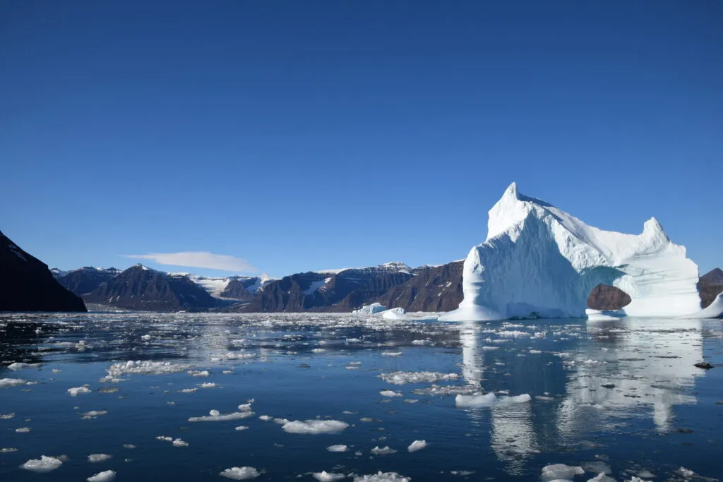 Icebergs in Vikingebukt.
