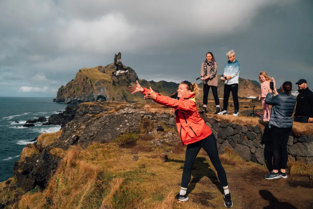 Helping the birds. Photo Emile Hussell