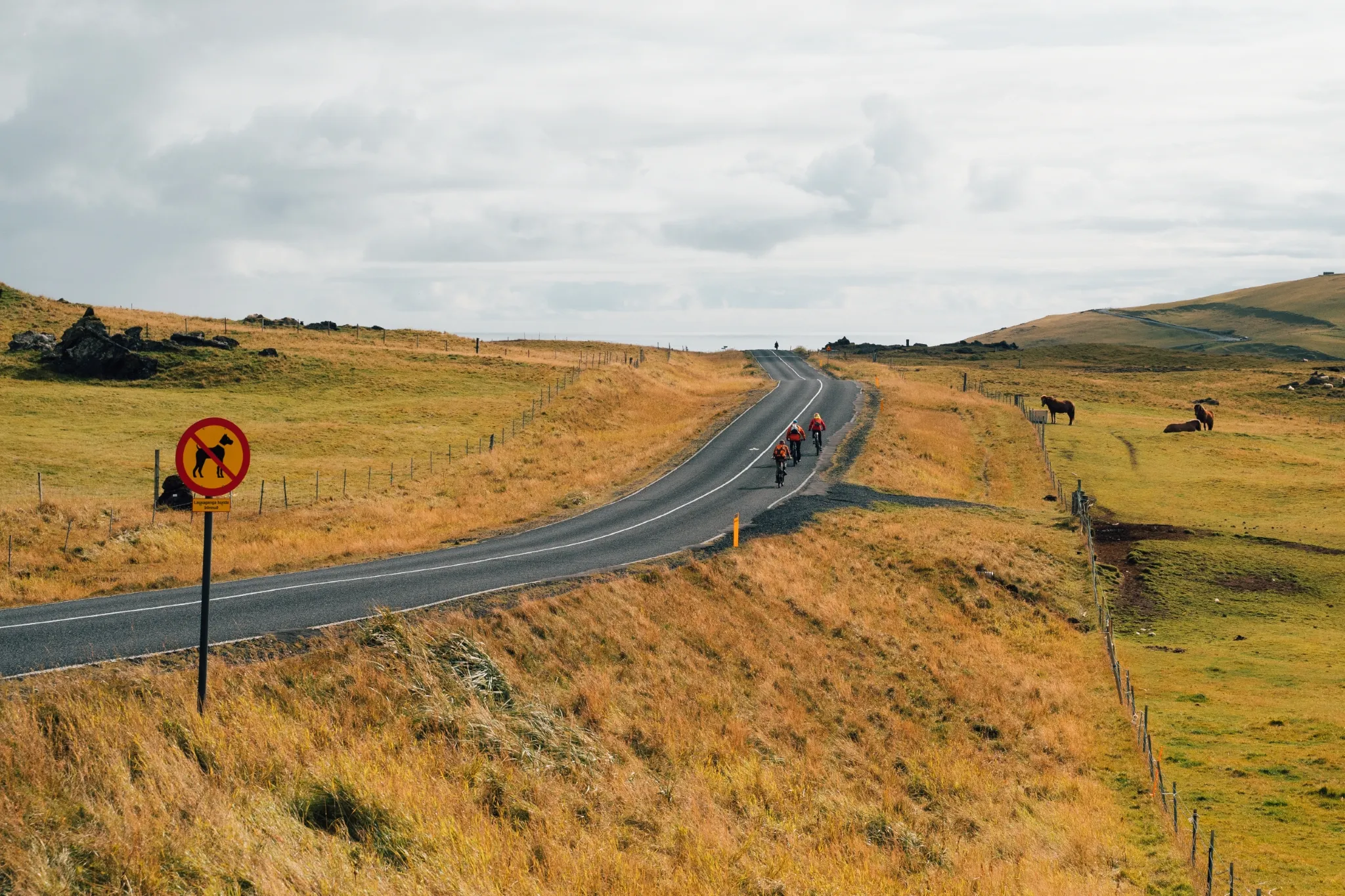 Sail Norway Iceland Faroe Scotland Emile Hussell 00177