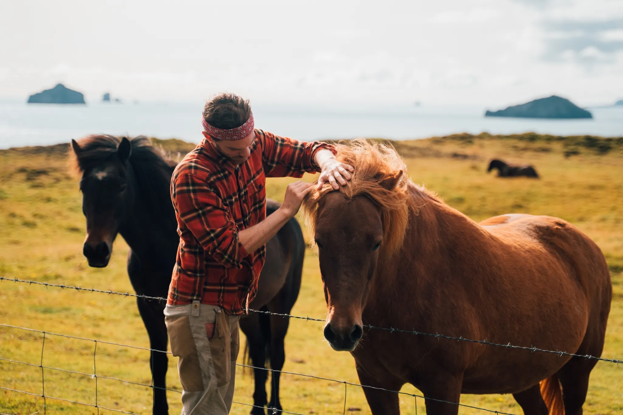 Sail Norway Iceland Faroe Scotland Emile Hussell 00180