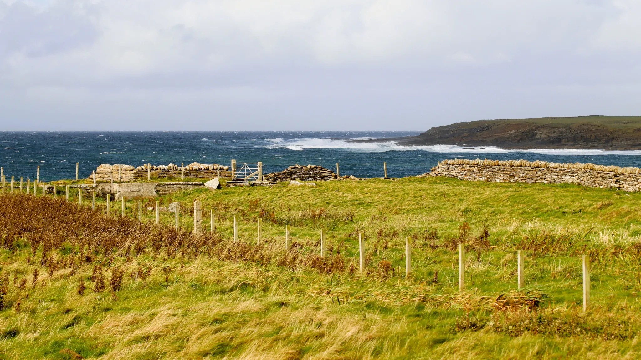 Scotland 2023 Photo Daniel Ebneter