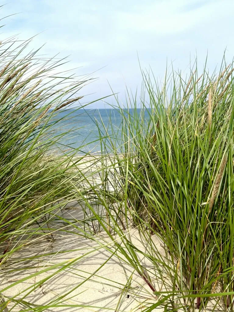 Danmark 2023 Landscape Beach Photo Steven Blank