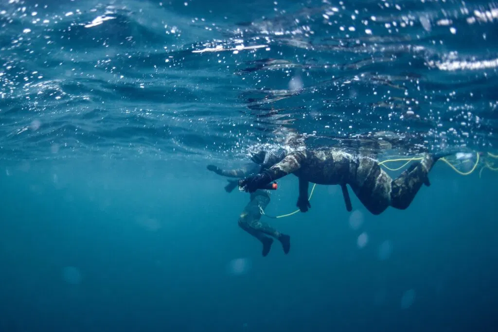 Tromso 2024 Seil Norge Valiente Orca Diving Trip Photograph: James Tomlinson