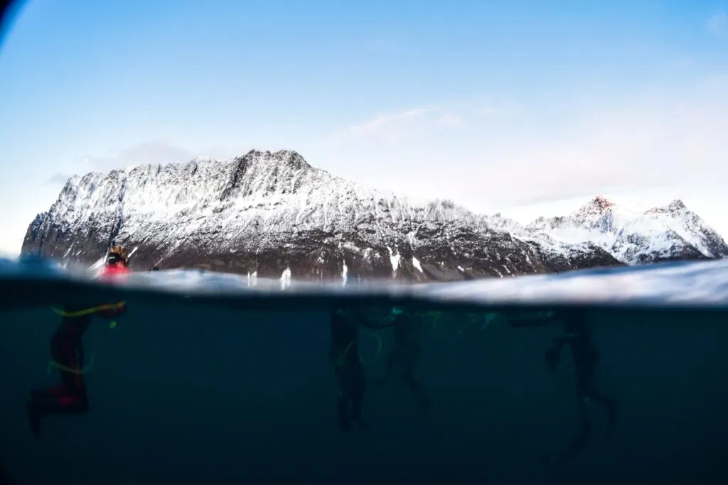 Tromso 2024
Seil Norge
Valiente
Orca Diving Trip
Photograph: James Tomlinson