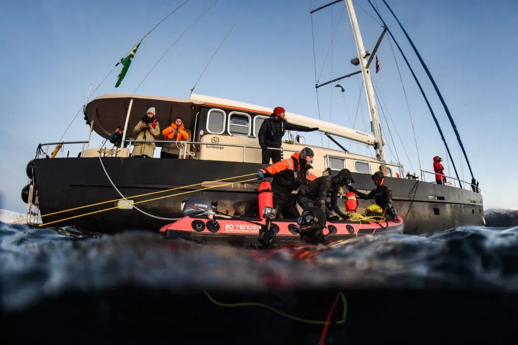 Tromso 2024 Seil Norge Valiente Orca Diving Trip Photograph: James Tomlinson