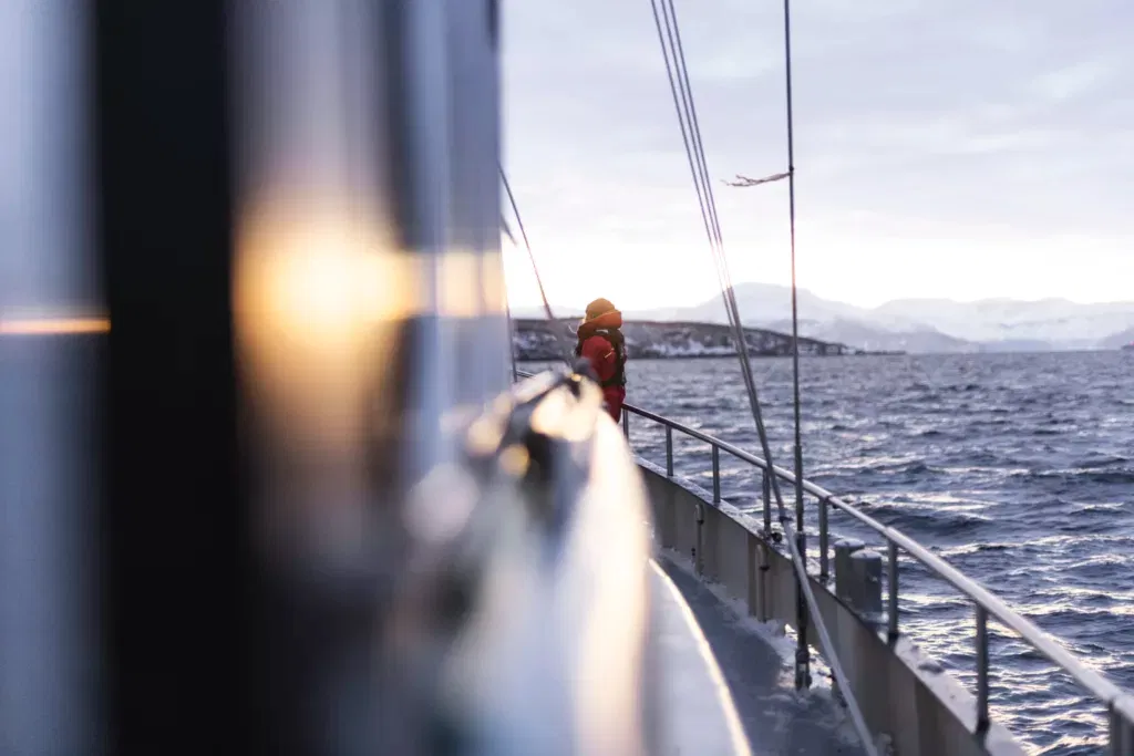 Can you see them? Photo Kenneth Nguyen.