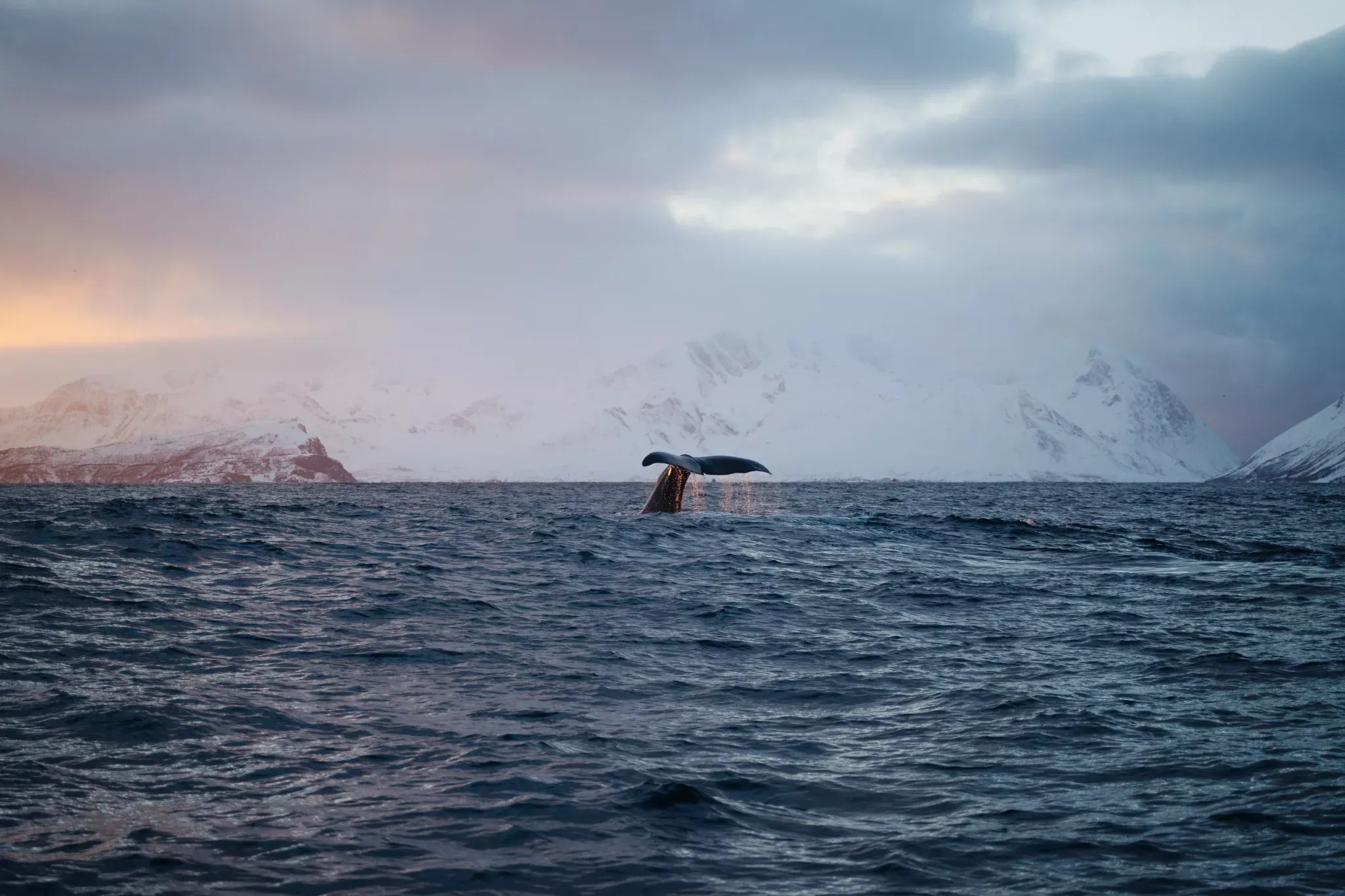 Winter Sailing Tromsoe 2023 Photo Emilie Hussel (492)