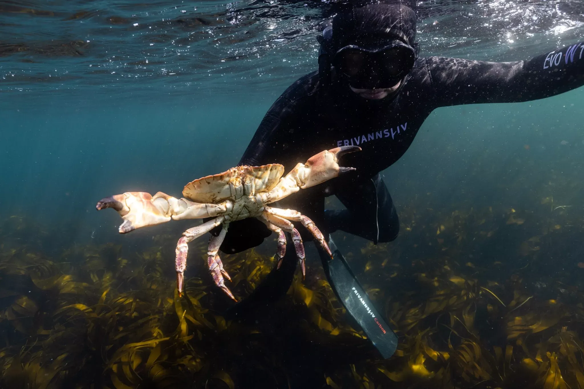 Freediving Norway Photo Aleksander Nordahl 1