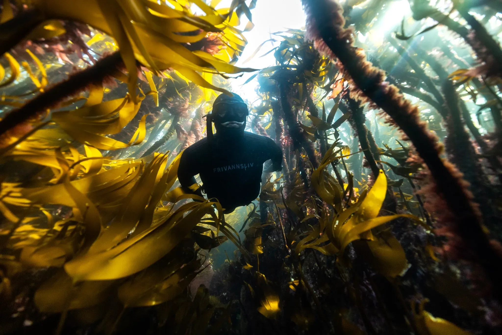 Freediving Norway Photo Aleksander Nordahl 2