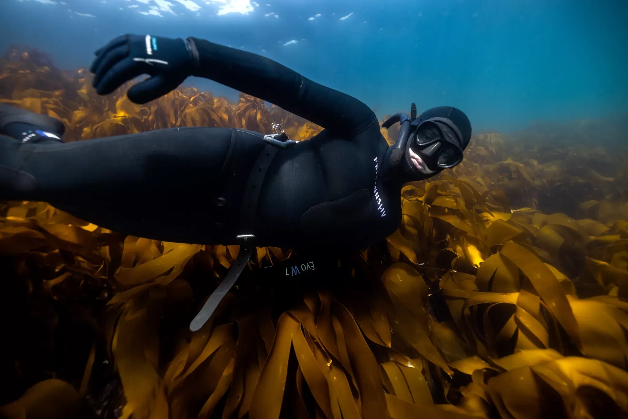 Freediving Norway Photo Aleksander Nordahl 4