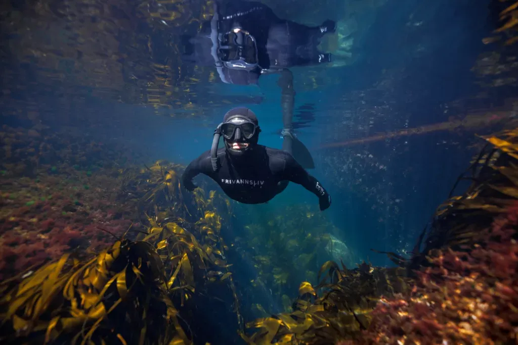 Freediving Norway Photo Aleksander Nordahl 5