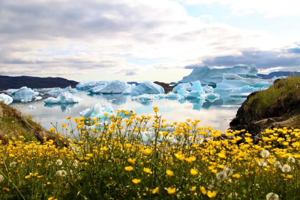 Icebergs,In,Narsaq, ,South,Greenland.