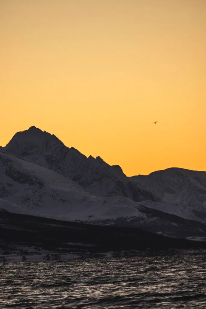 Lights.  Photo Kenneth Nguyen 