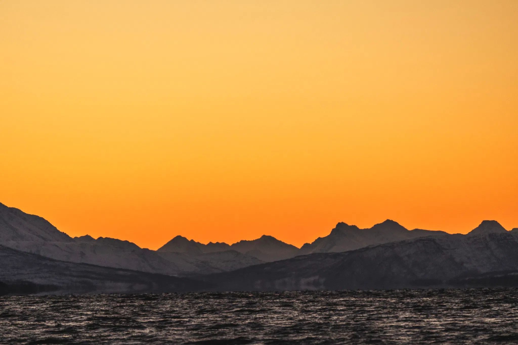 Northern light and whale sailing SeilNorge 2021 Foto Kenneth Nguyen KNGU0258