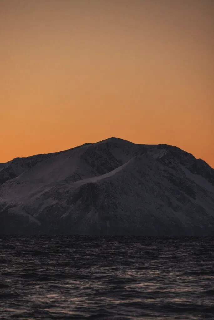 Lights.  Photo Kenneth Nguyen 