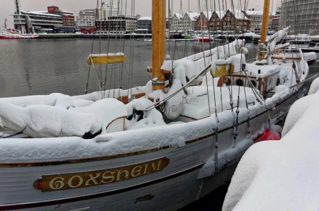 513865587 24277209188563834 1676754209214853952 n