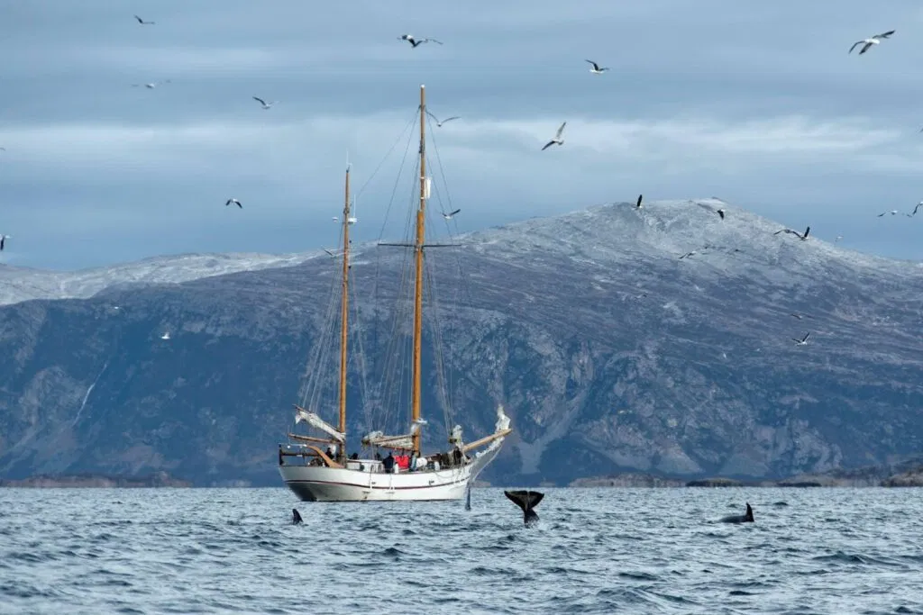 514253366 24325611943723558 6450723529278560198 n