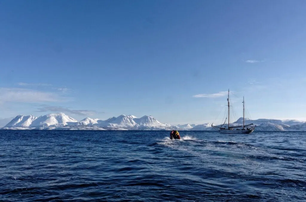 514339440 24309609661990453 1779983531369169752 n