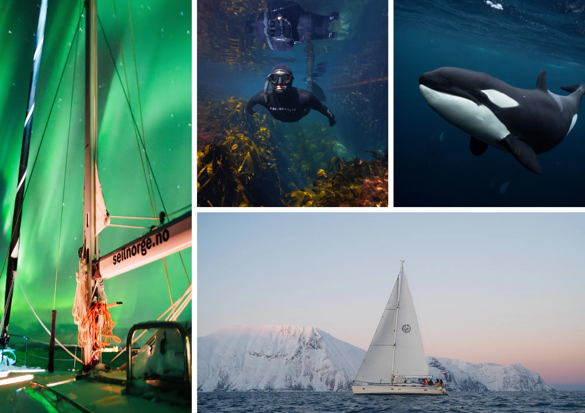 bildegalleri Tromsø