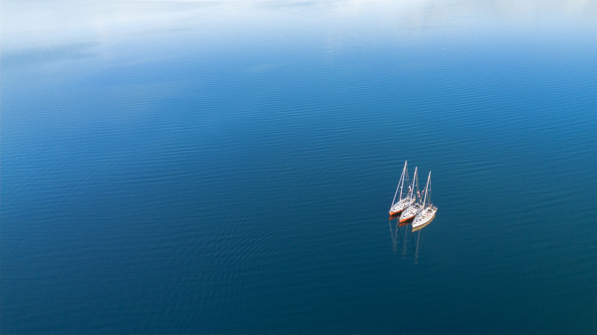 Summer Sailing SeilNorge 2025 Photo Robcab photography 13