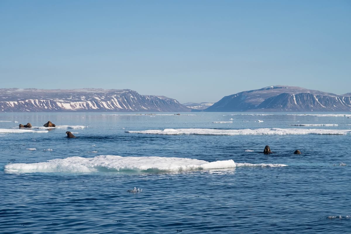 Seiltur SeilNorge Svalbard Iskanten Foto Mats Grimseth8