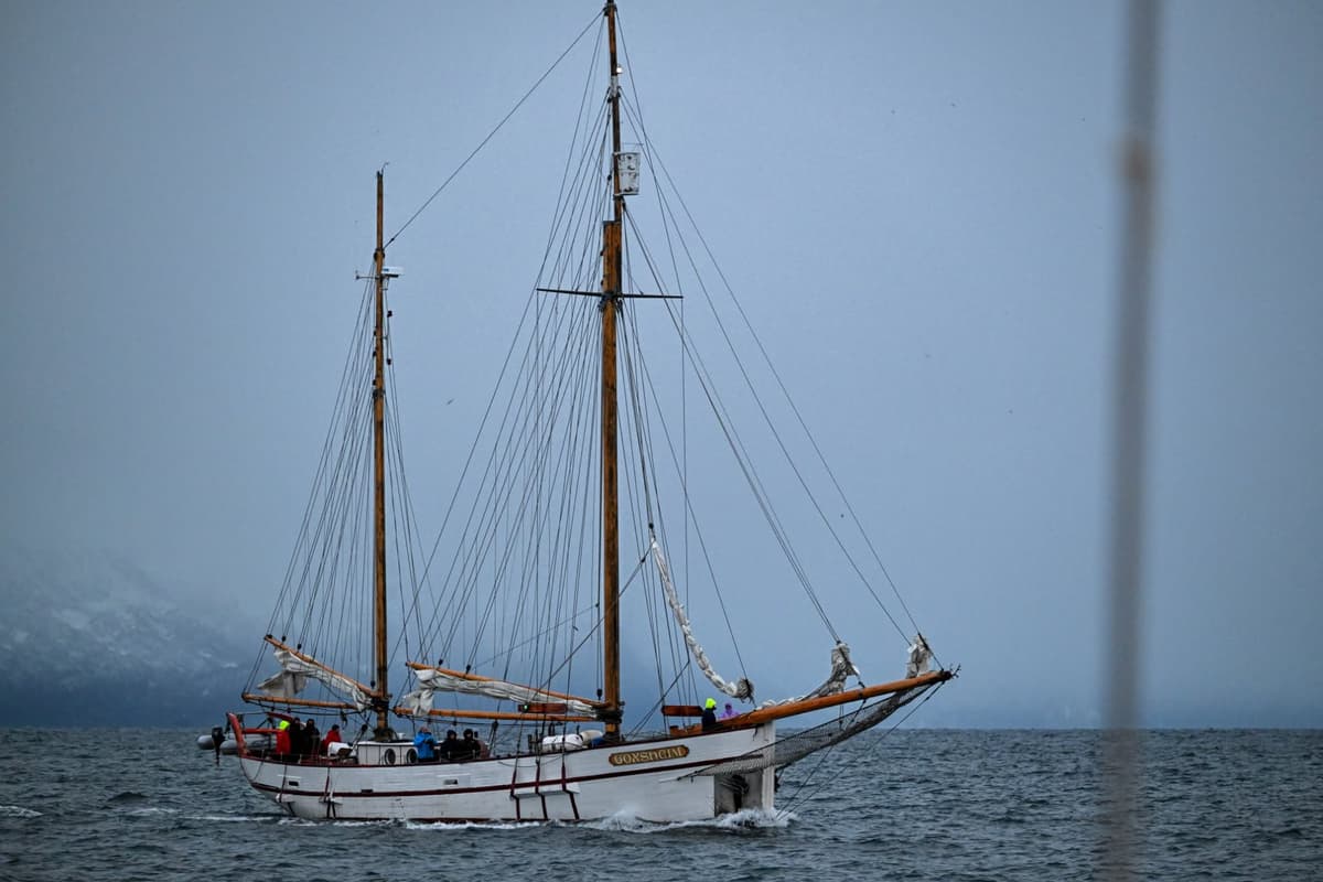 Winter sail whales and aurora 2024 Damian Jutzet (20)