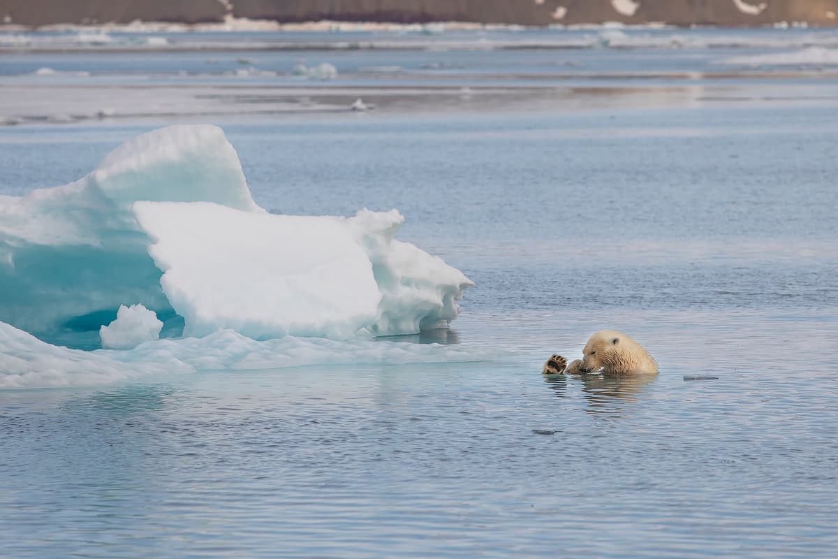 Svalbard Iskanten 2019 Foto Mats Grimsaeth IMG 2508