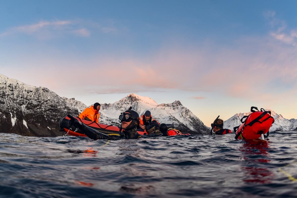 Tromso 2024 Seil Norge Valiente Orca Diving Trip Photograph: James Tomlinson
