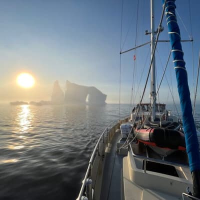 Grønland Arktisk Foto Adrian Gutknecht