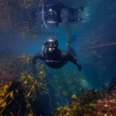 Plongée libre en Norvège Photo Aleksander Nordahl 5